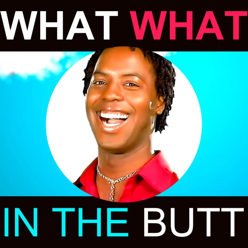 What What (In the Butt)